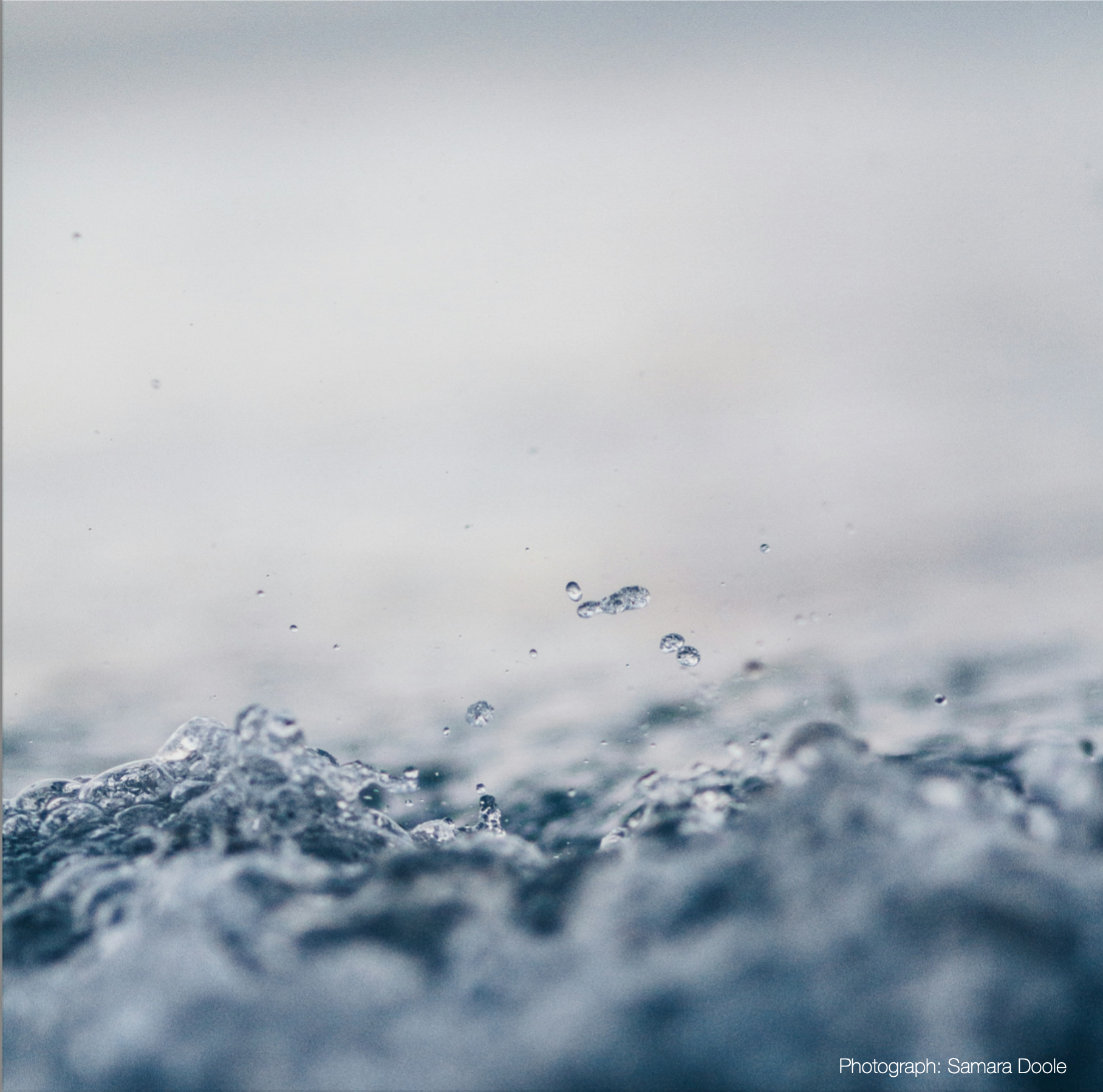 Notes from our journal - How to wash cashmere knitwear
